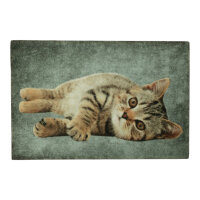 Fußmatte Türmatte Graue Tabby-Katze 75x50 cm...