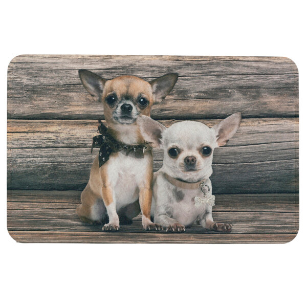 Fußmatte Türmatte Schmutzfangmatte Chihuahuas 75x50 cm – Tiermotiv, rutschfest