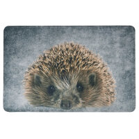 Fußmatte Türmatte Schmutzfangmatte Igel 75x50...