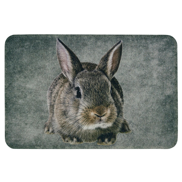 Fußmatte Türmatte Schmutzfangmatte Kaninchen 75x50 cm – Tiermotiv, rutschfest