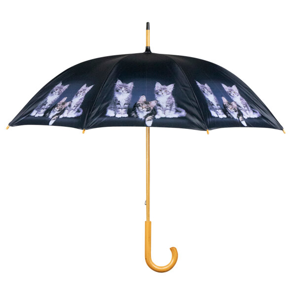 Mars & More Regenschirm Kätzchen Maine Coon – 105 cm, Tiermotiv, Schwarz
